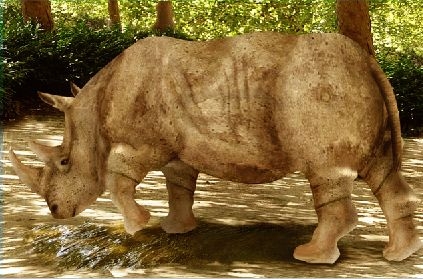 Creation of Rhino: Step 20